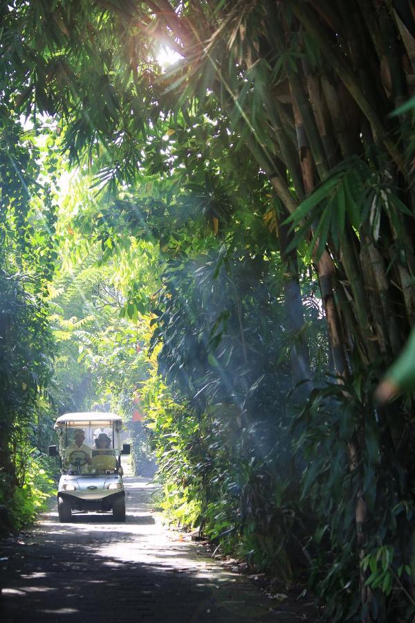 Artist Village By Pramana Watu Kurung Ubud Exteriér fotografie